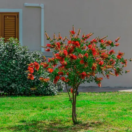 Stella Marina Aparthotel Budoni